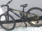 Boys GT mountain bike 