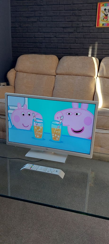 24 inch Bush Freeview Tv with Dvd