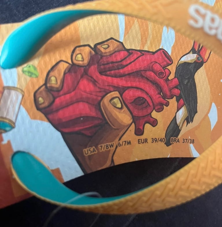 Brand new Havaianas