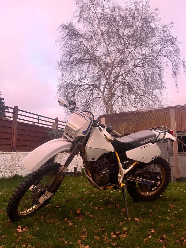 1990 Suzuki Dr250s