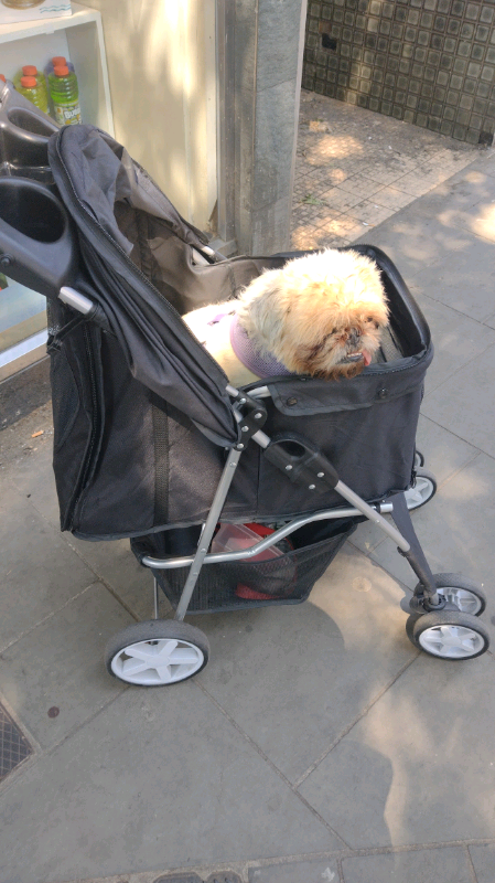 Dog pushchair 