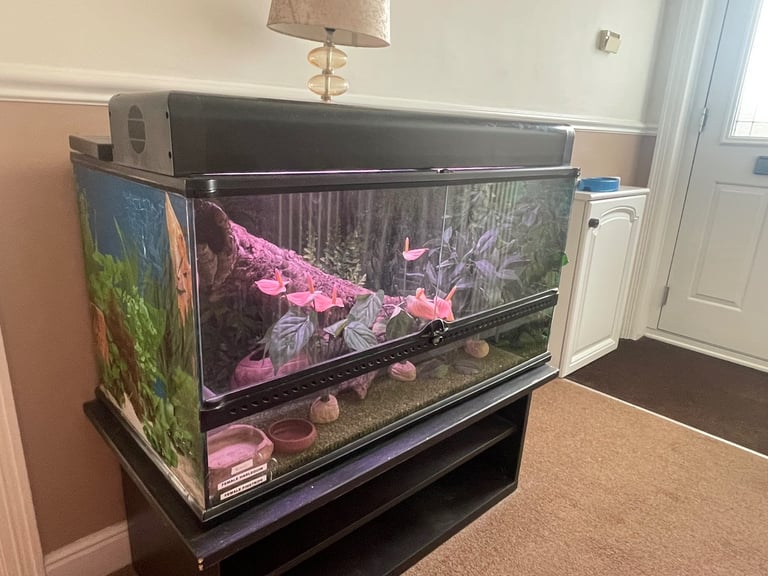 Exo - Terra glass terrarium 