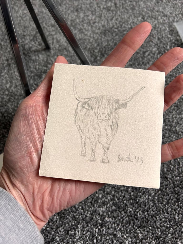 Small Drawing of a Highland Cow 