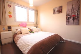 image for Nice room in shared flat