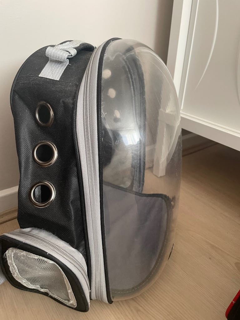 2 cat carriers for £5