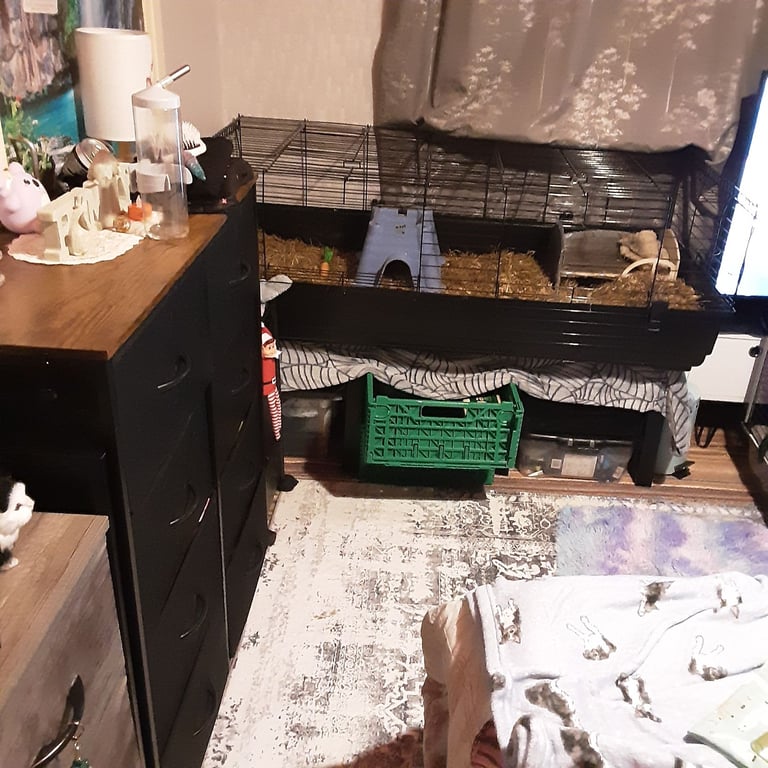 Indoor cage