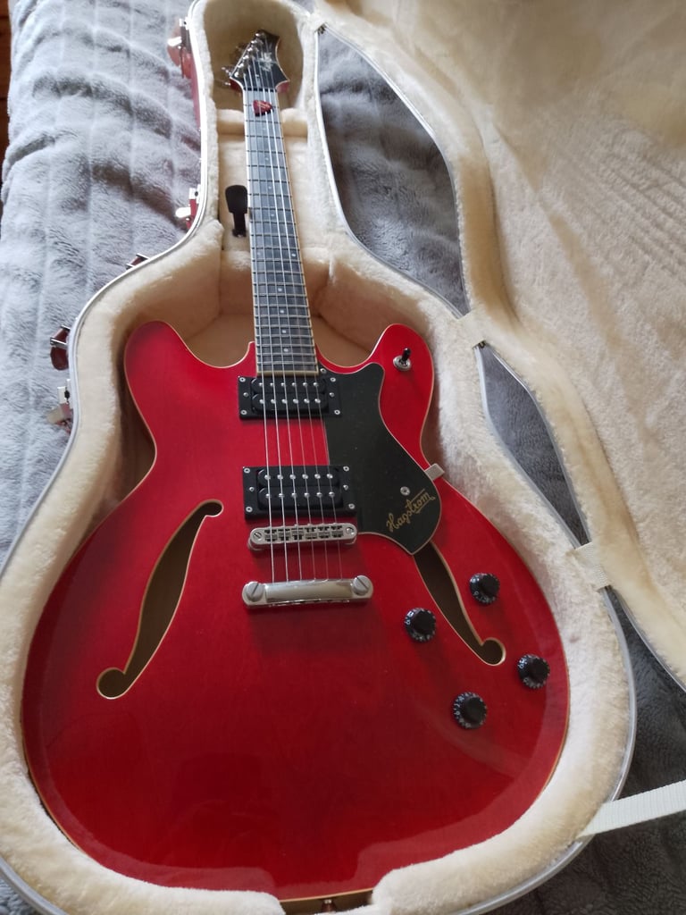 Hagstrom Viking and Hard Case.