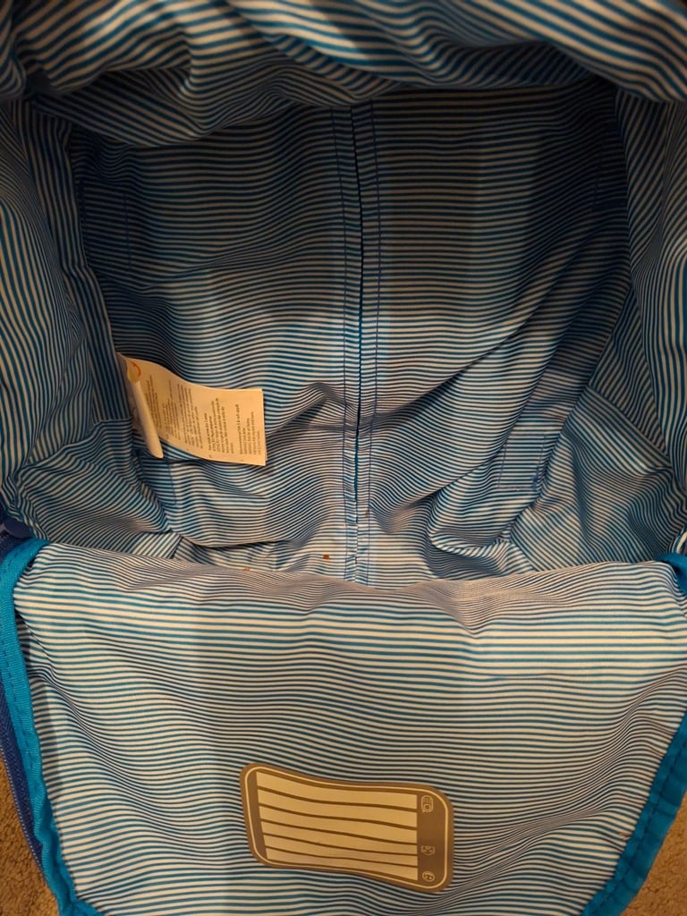 Mickey mouse luggage