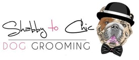 Shabby to Chic Dog & Small Animal Grooming 