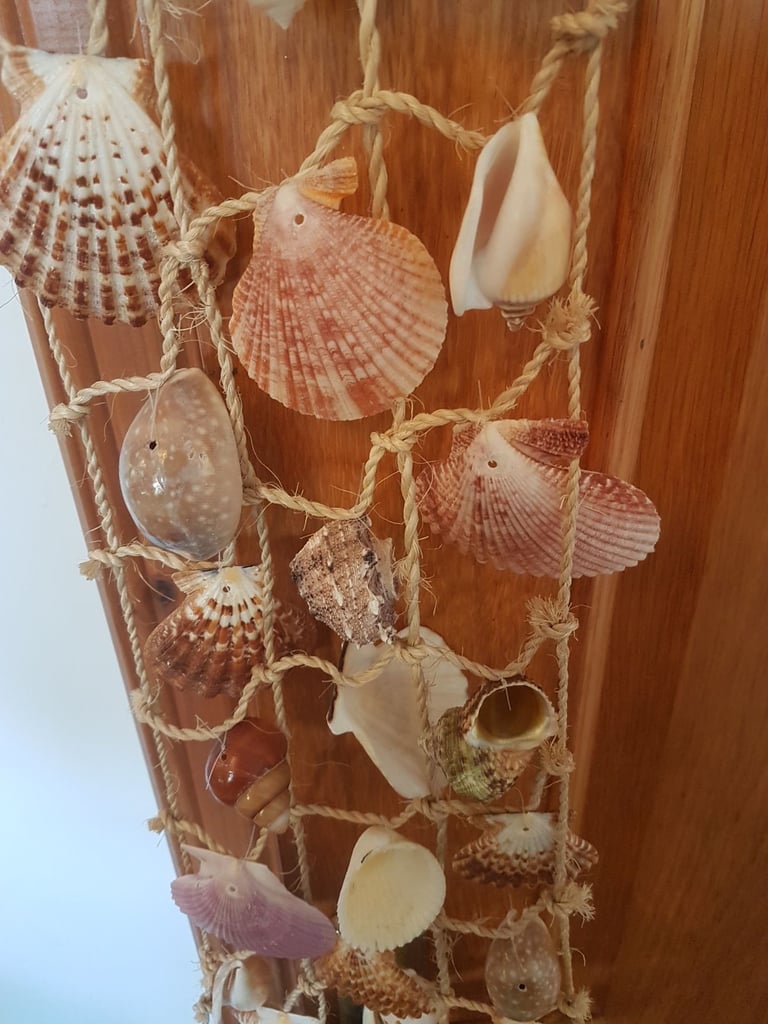 Shells on a net