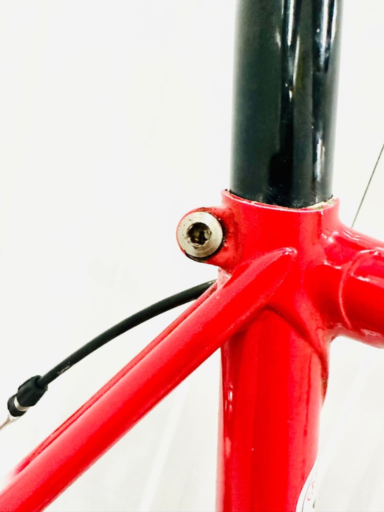 A7  BOTTECHIA Size/L Super LW Road Bike  12 Speed 700c Wheels