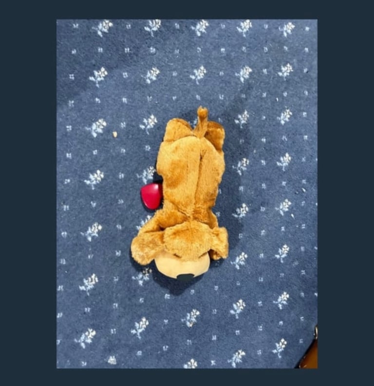 Puppy comforter 