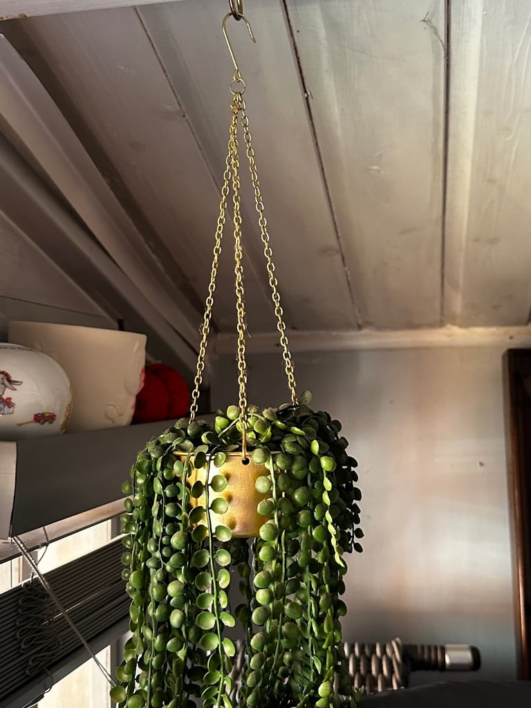 image for Fake plant 