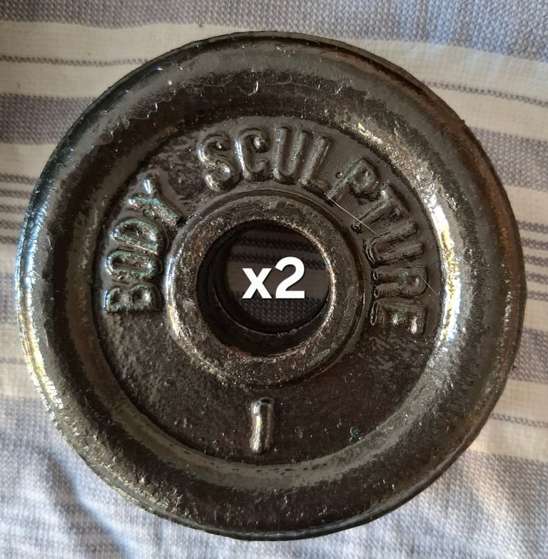 Weights, dumbells and an EZ bar 