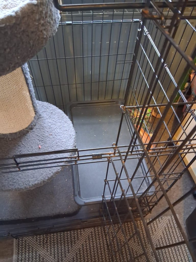 Catio cage