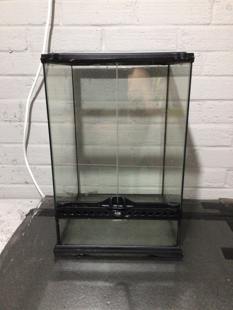 Exo Terra glass terrarium