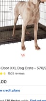 XXL dog crate 