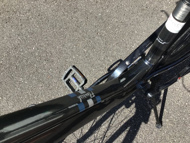 Lady’s Giant hybrid bike.