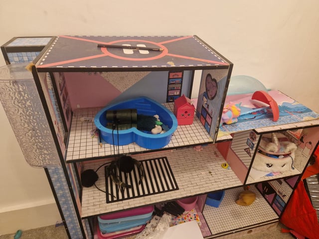 Dollhouse Lol House Gumtree Gumtree Lol Dolls House Lol House Buy
