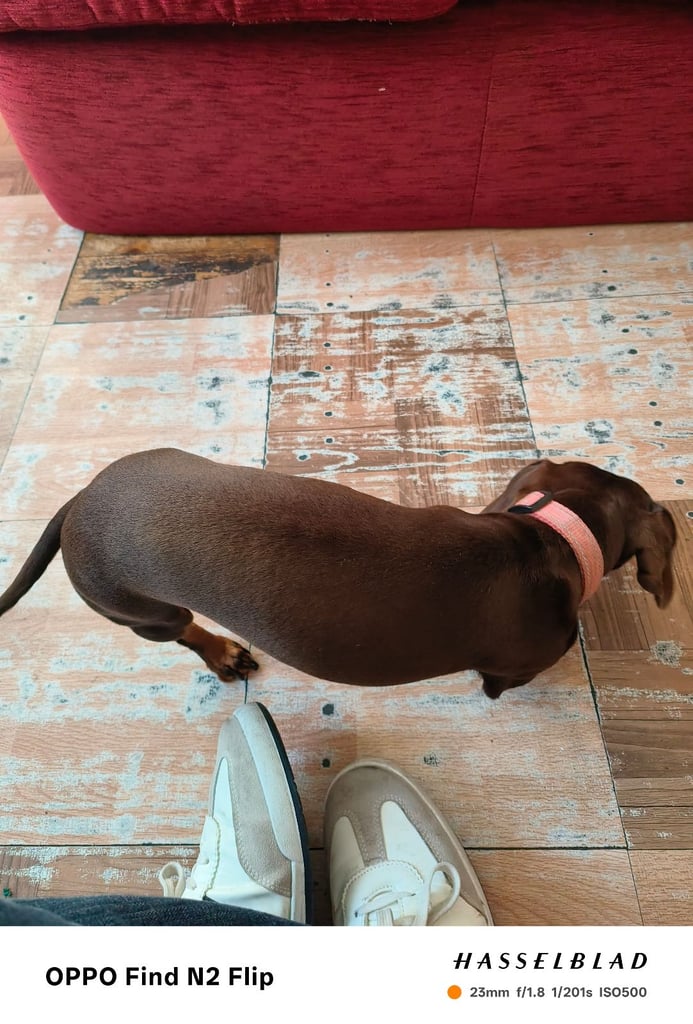 Due to leaving country 