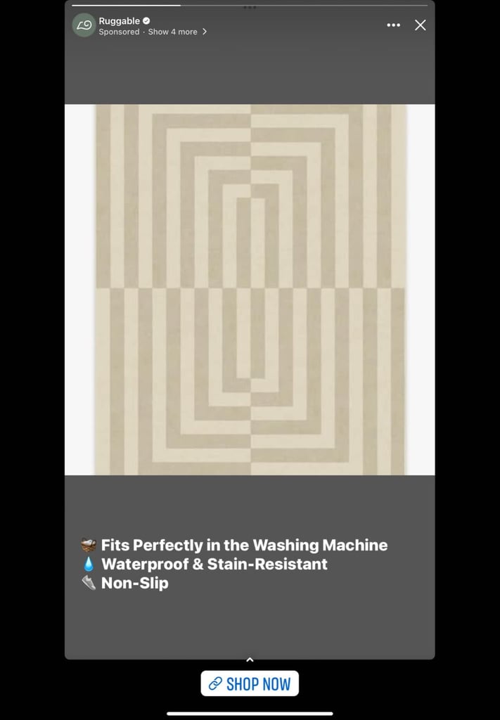 Brand New Ruggable rug