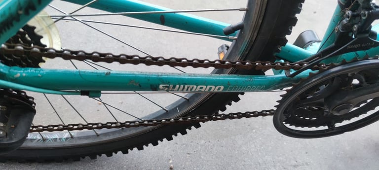 Bicycle (adult bike)