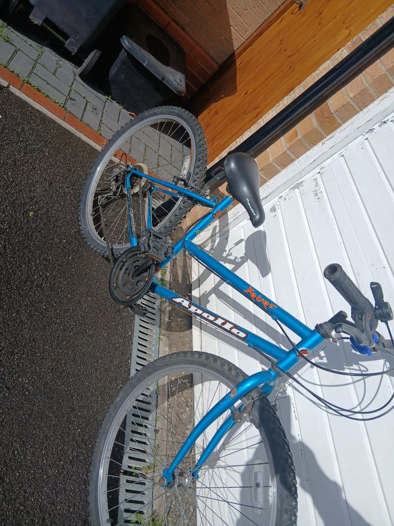 image for 2 girls bikes