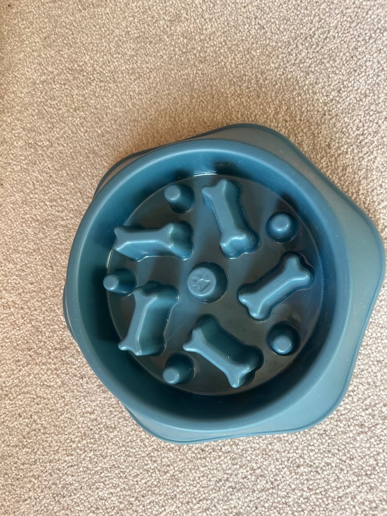 Slow pet feeder non slip bowl Pet Treat Dispenser 