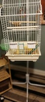 Lovely, elegant white bird cage with stand