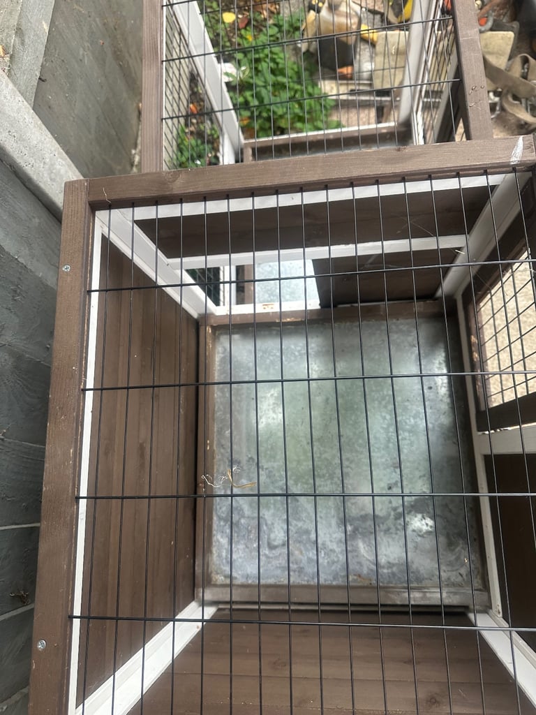 Indoor rabbit hutch 