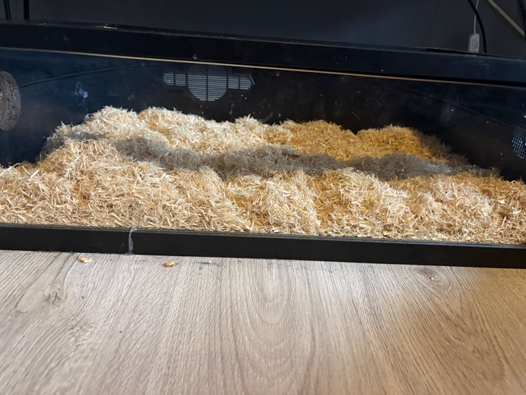Snake vivarium