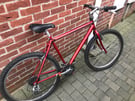 21 speed Raleigh Max Cromo (serviced)