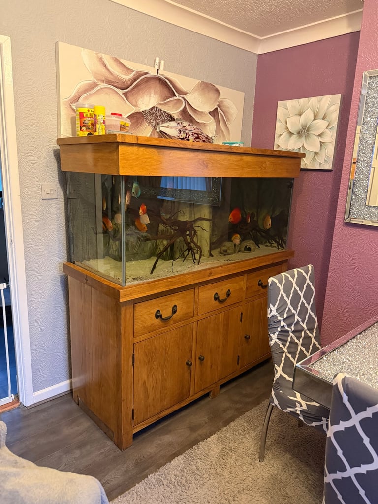 Fish tank plus accessories everything you can see