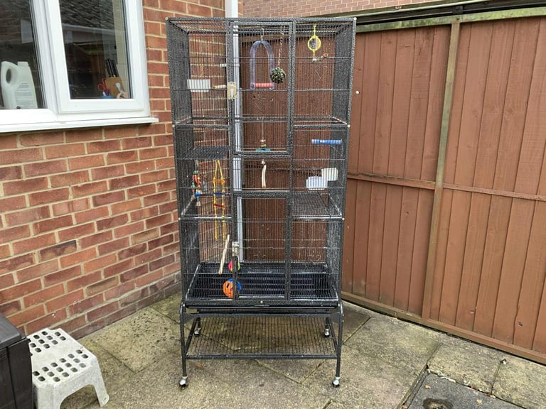 Parrots cage