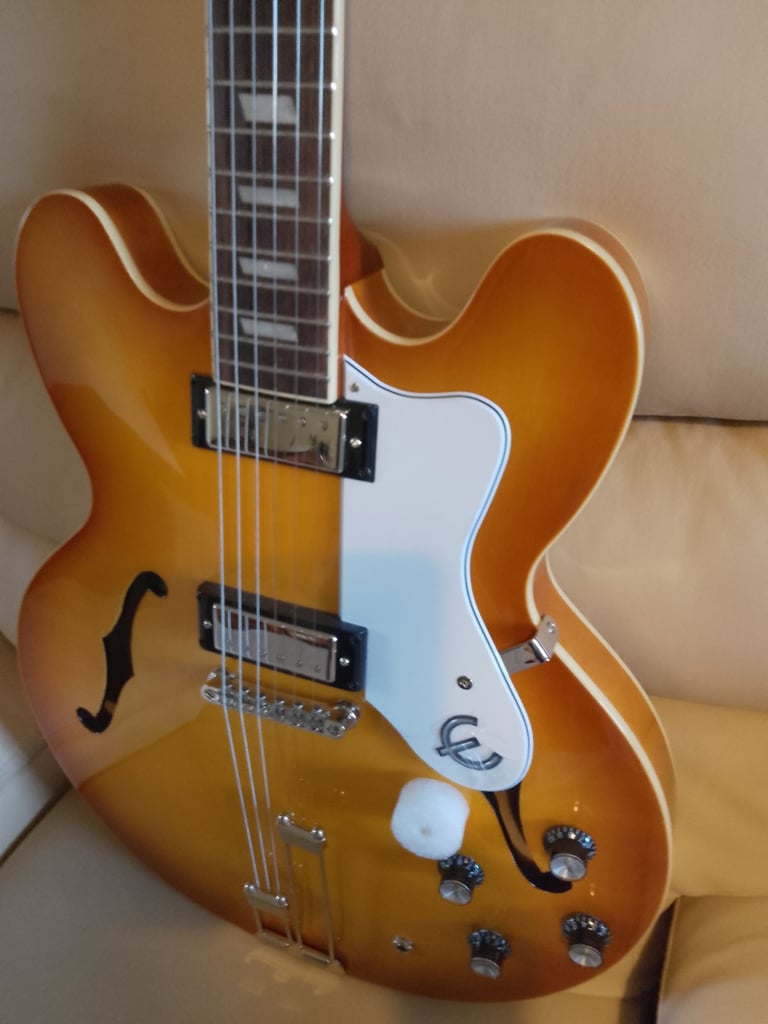 Epiphone Riviera and Hard Case