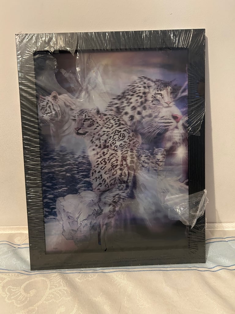 image for Frames 