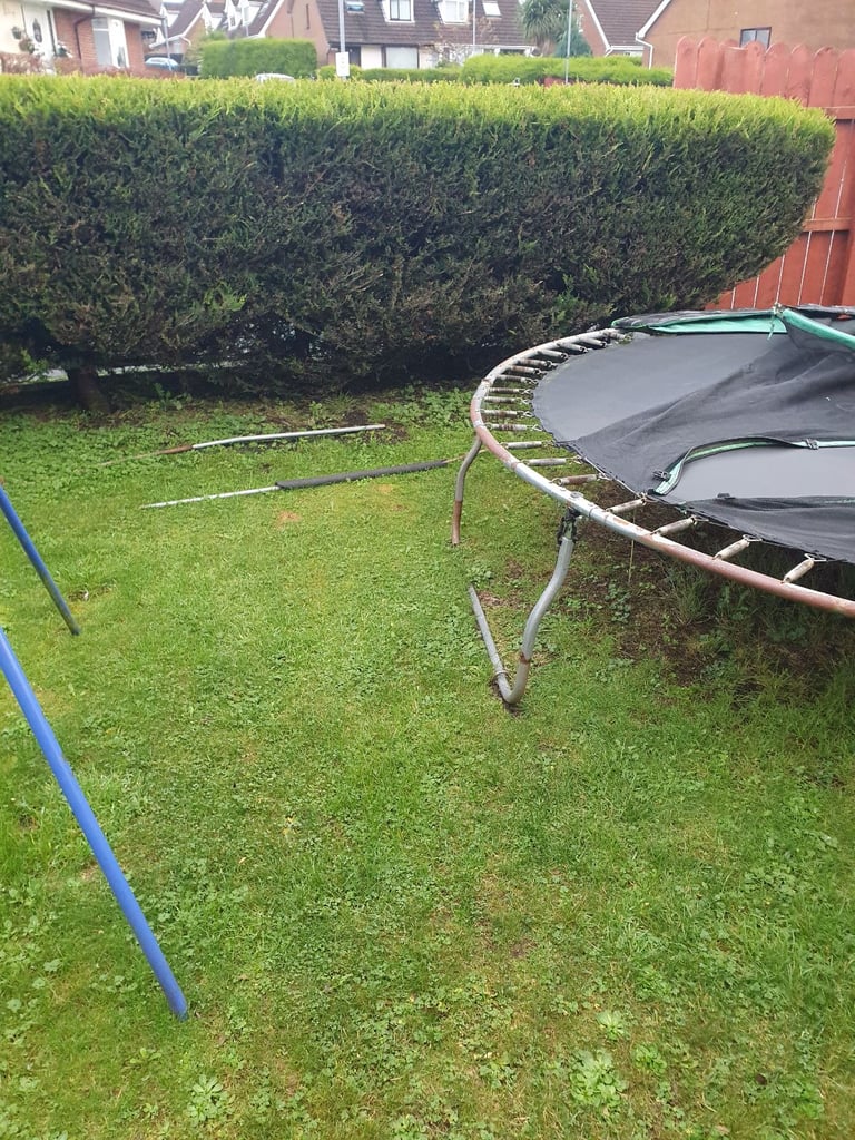 Trampoline 