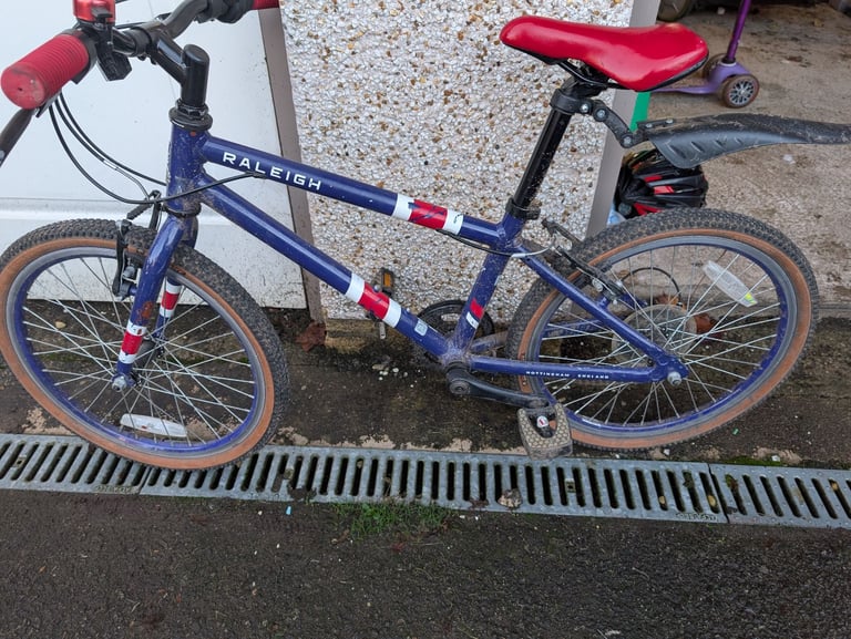 image for Raleigh 20 inch bike