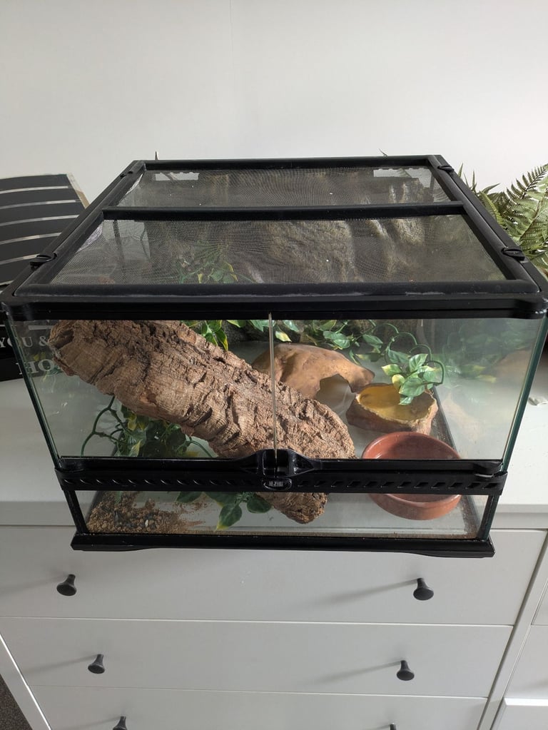 Exo-Terra Vivarium 45x45x30cm with accessories 