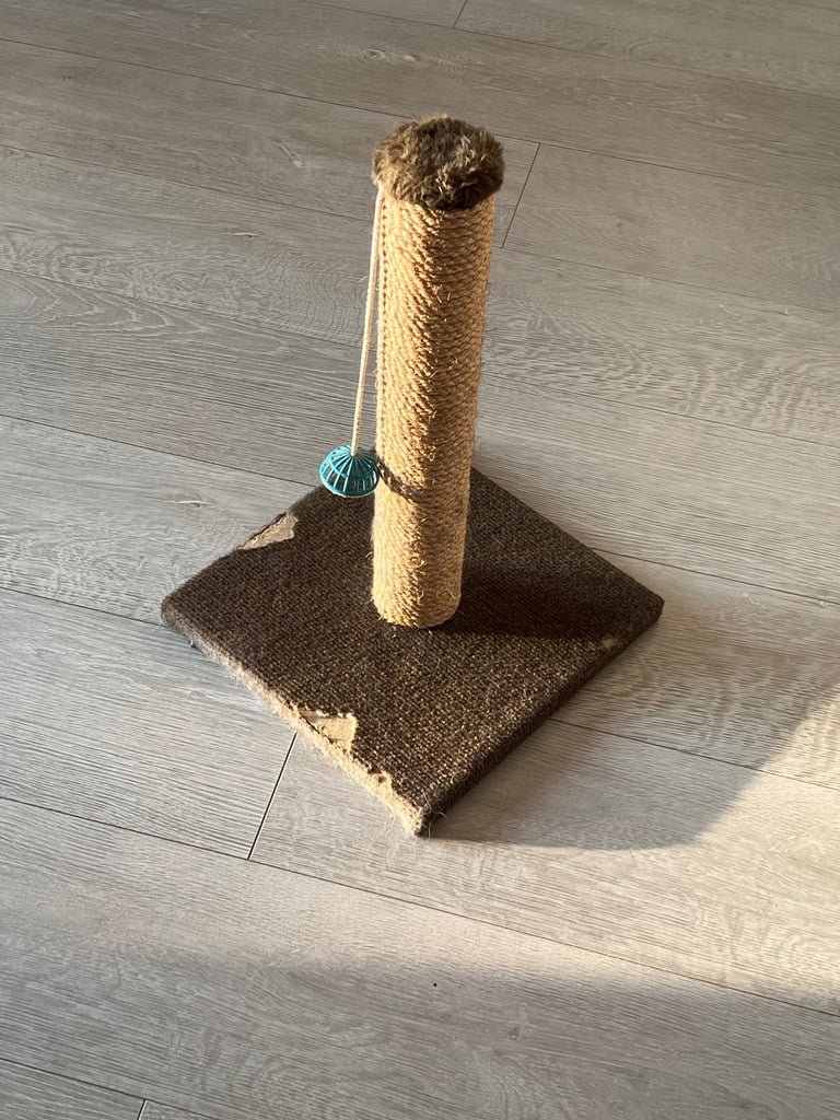 Cat Scratcher Post 