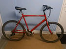 Raleigh Mountain Bike (Free delivery)