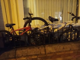 2 kids bikes stolen