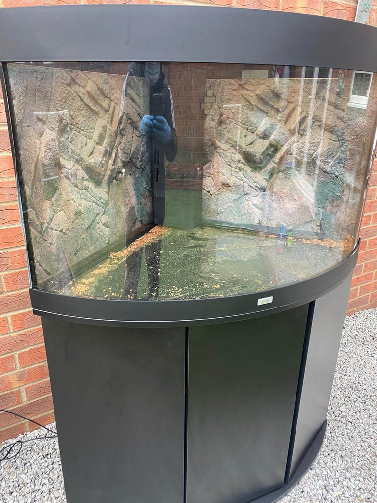 Juwel Trigon 190 Black fish tank aquarium tropical setup delivery 🚚