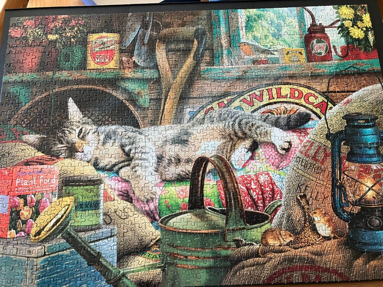 image for Jigsaw “Snoozing in the shed” 1000 pieces