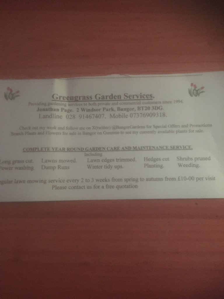 Stainless Steel Single Garden Chair