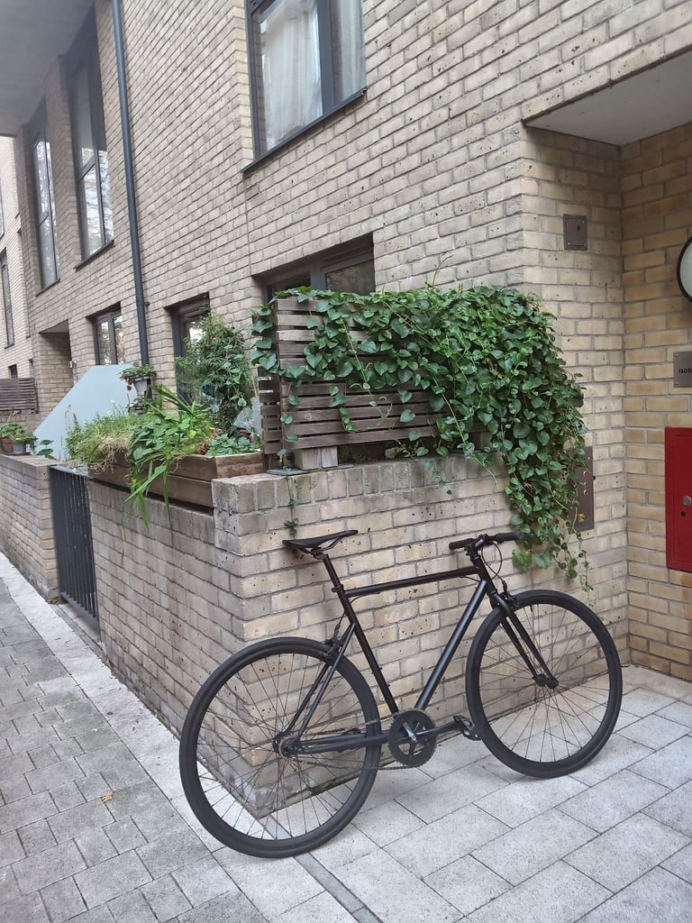 image for Bike for sale Single Speed