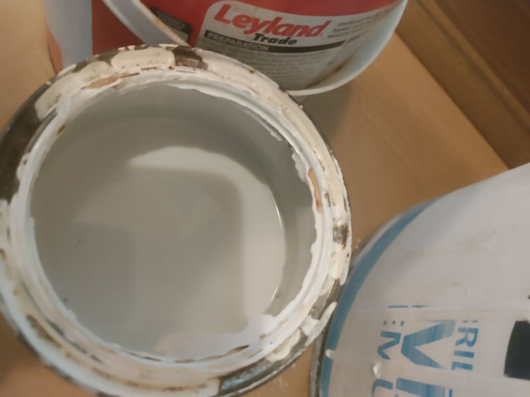 Having a clear out of leftover paint Gloss and Matt Brilliant White