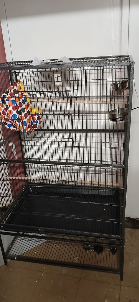 Bird's Large Cage