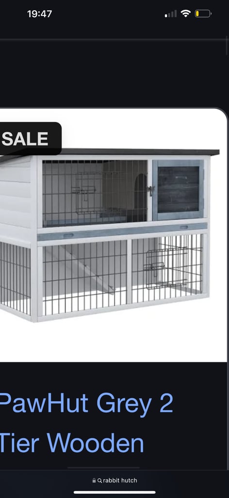 Mini Lop Rabbit, Cage and Pet carrier etc