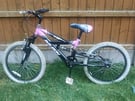 Raleigh Kids Mountain Bike (Free delivery)